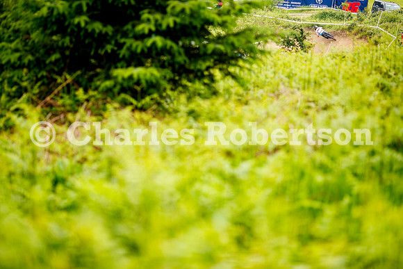20240601_1045_crobertson