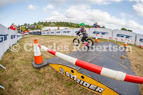 20240823_0635_crobertson