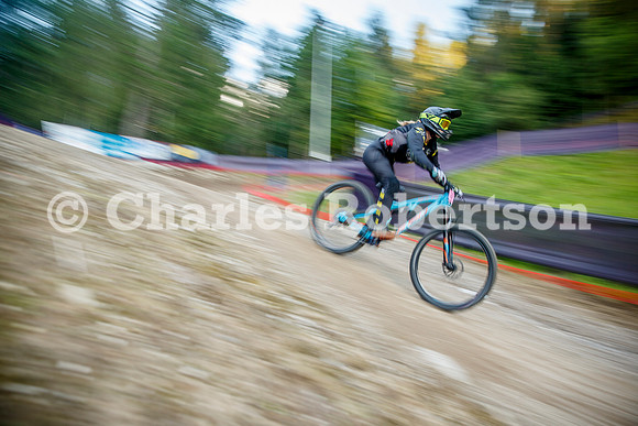 20240613_1133_crobertson