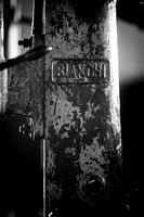 _AR_7341 (1)