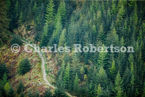 20250430_0003_crobertson