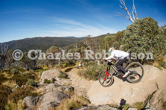 20250212_0034_crobertson