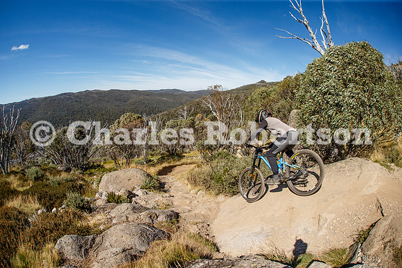 20250212_0025_crobertson