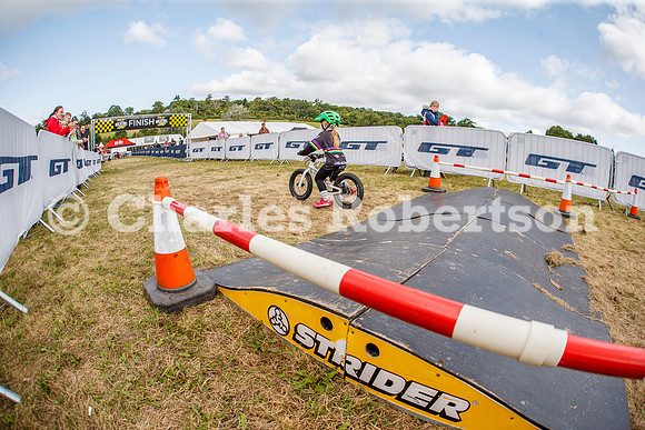 20240823_0636_crobertson