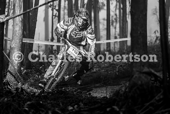 20100320_0250_crobertson