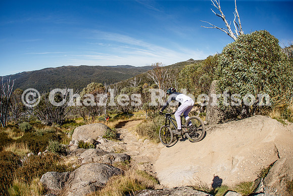 20250212_0031_crobertson