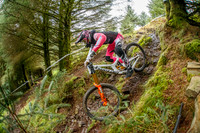 2025 SDA 5 - Ae Forrest