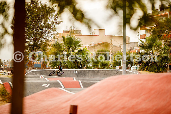 20251113_0110_crobertson