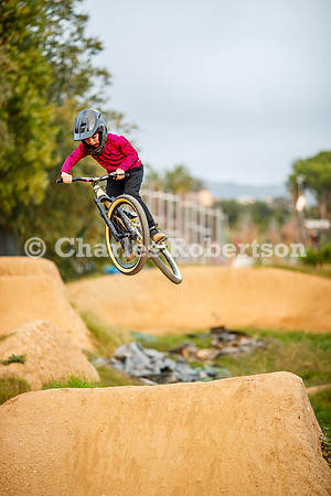 20251113_0330_crobertson