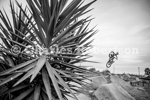 20251115_0263_crobertson