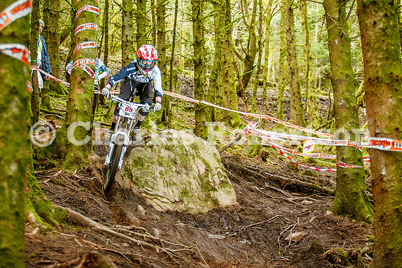 20100411_0141_crobertson