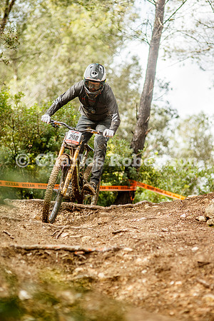 20260307_0107_crobertson