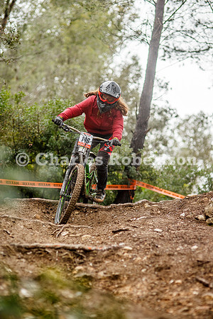 20260307_0245_crobertson