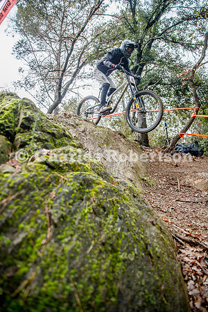 20260307_0409_crobertson