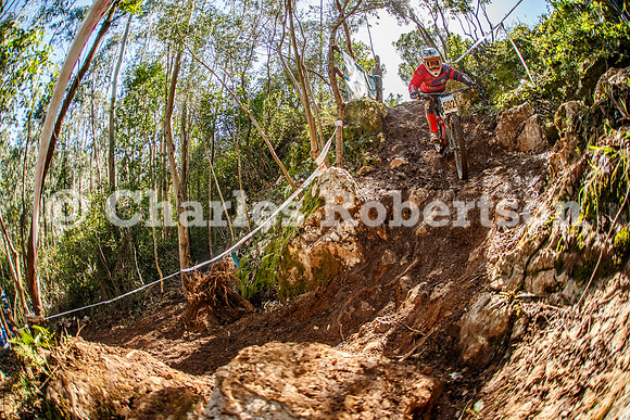 20260315_0534_crobertson