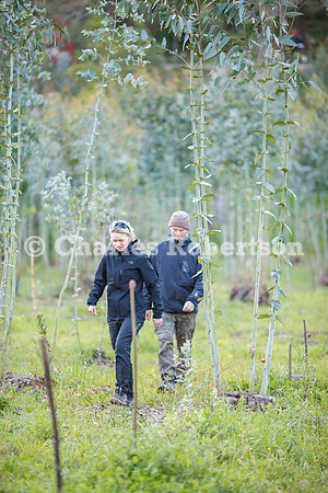 20260315_0868_crobertson