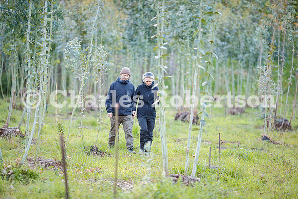20260315_0865_crobertson