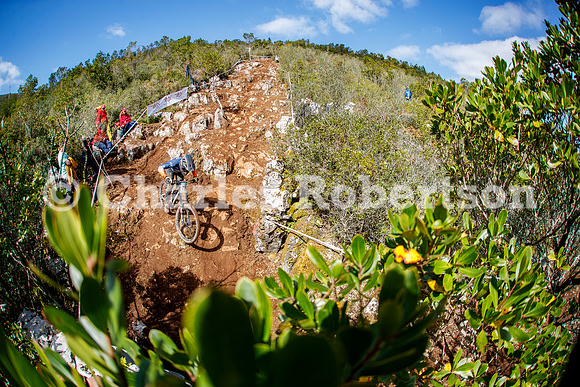 20260315_1033_crobertson