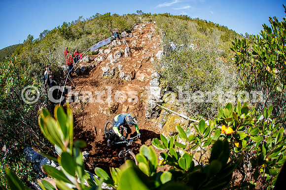 20260315_1131_crobertson