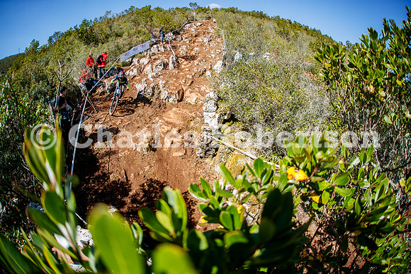 20260315_1153_crobertson