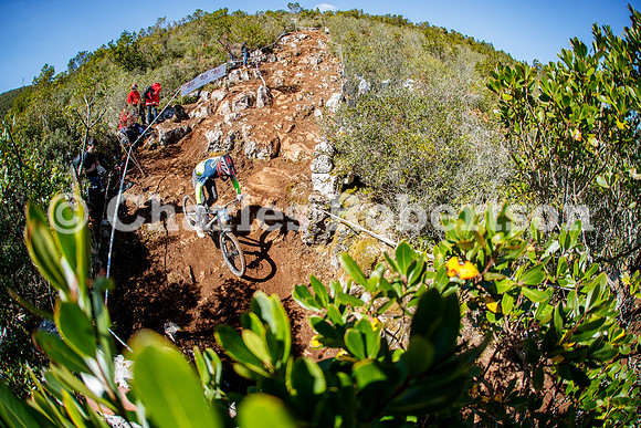 20260315_1155_crobertson