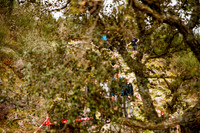 20260320_0046_crobertson
