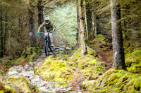 20260328_0017_crobertson