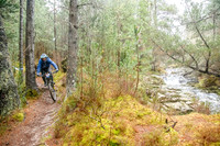 20260328_0032_crobertson
