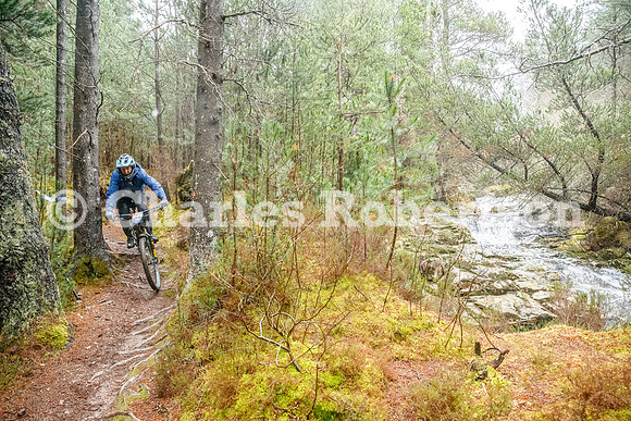 20260328_0032_crobertson