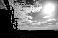 20260321_0029_crobertson