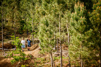 20260409_0157_crobertson
