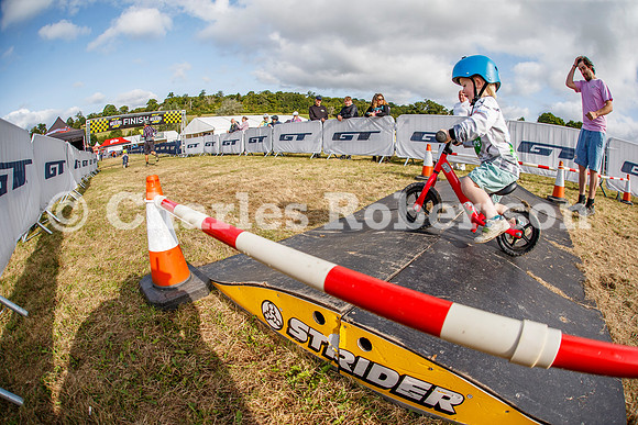 20240823_0554_crobertson