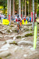 20260826_0794_crobertson