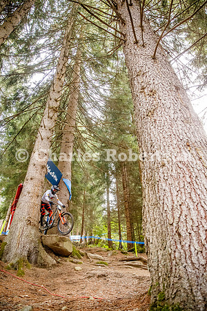20260826_1130_crobertson