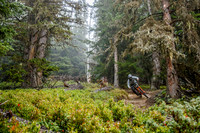 20260910_0017_crobertson