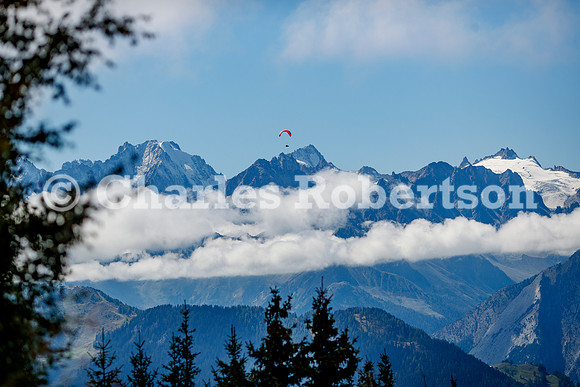 20260911_0263_crobertson