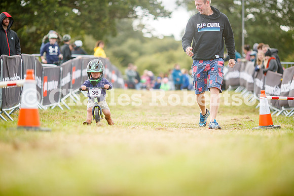 20240823_0144_crobertson