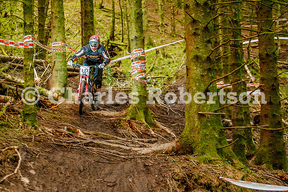 20100411_0133_crobertson