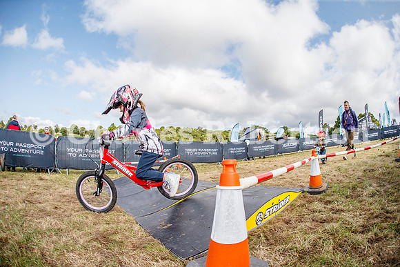 20240823_0512_crobertson