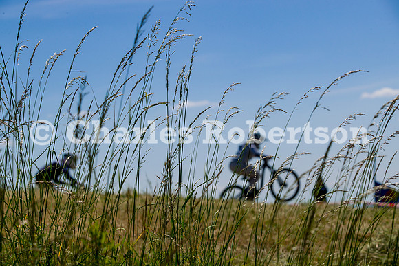 20230603_0142_crobertson