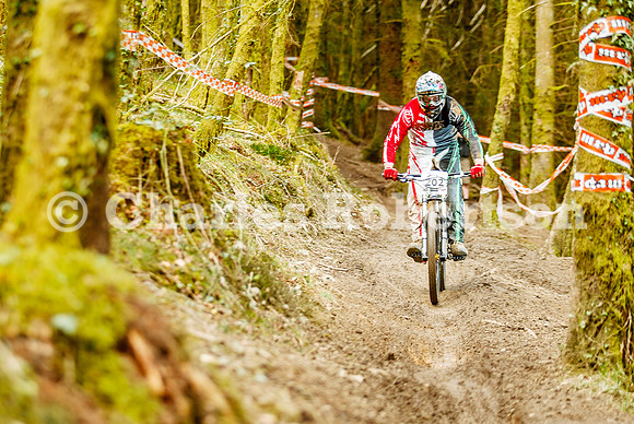 20100411_0225_crobertson