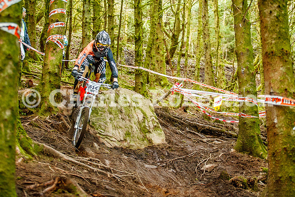 20100411_0146_crobertson