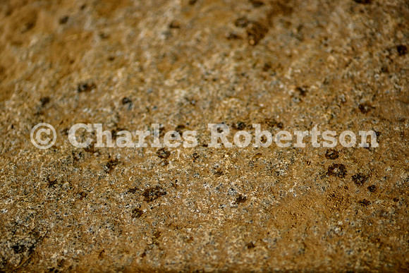 20250619_0946_crobertson