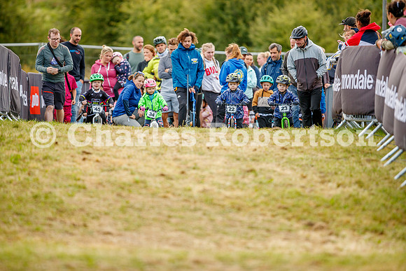 20240823_0153_crobertson