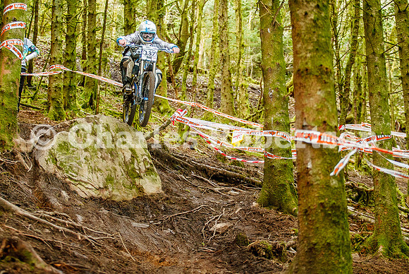 20100411_0142_crobertson