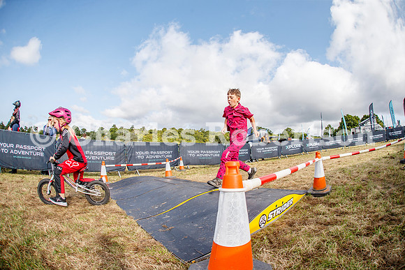 20240823_0415_crobertson