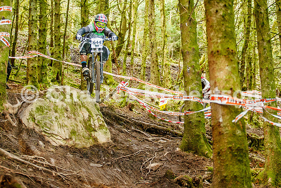 20100411_0155_crobertson
