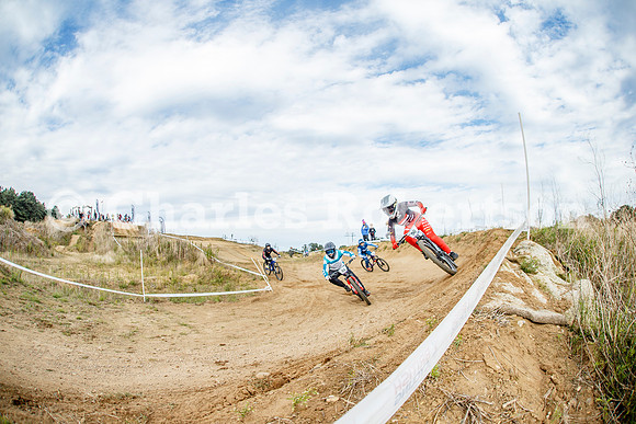 20240929_1643_crobertson