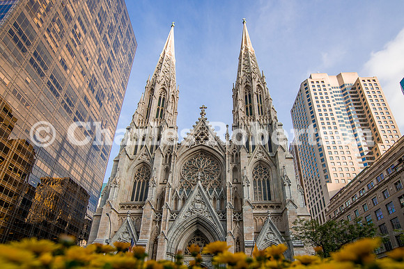 20181009_0220_crobertson-HDR