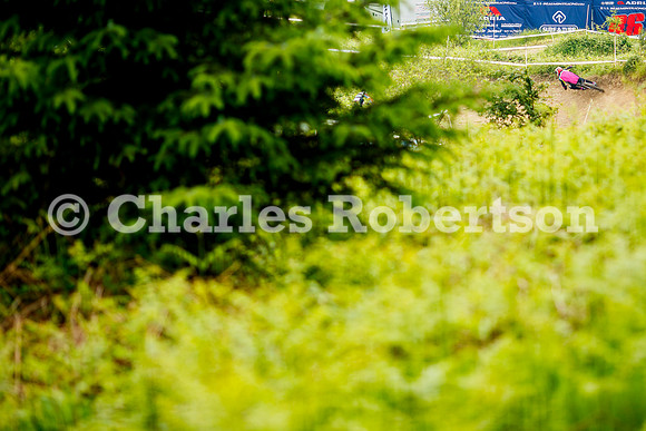 20240601_0971_crobertson